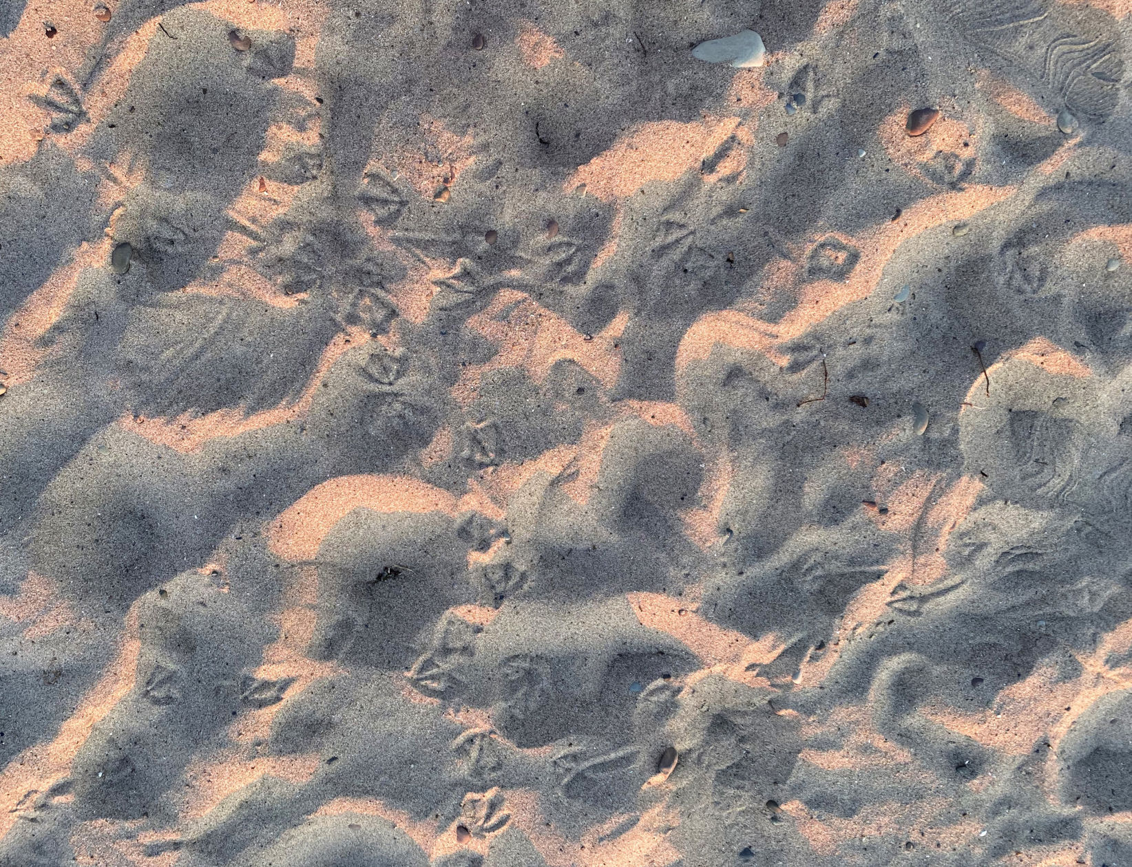 Fair Haven Beach 8.JPG
